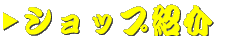�J���T�L�V���b�v�~�Y�����X�܈ē�
